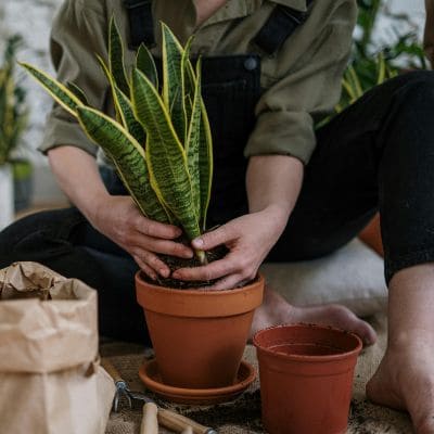 Enrollment & Admission